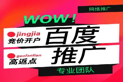 百度推广案例：案例分析及实战操作指南